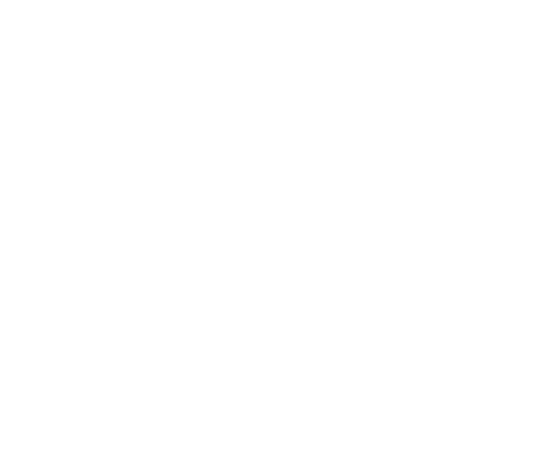 Ticket to the Moon